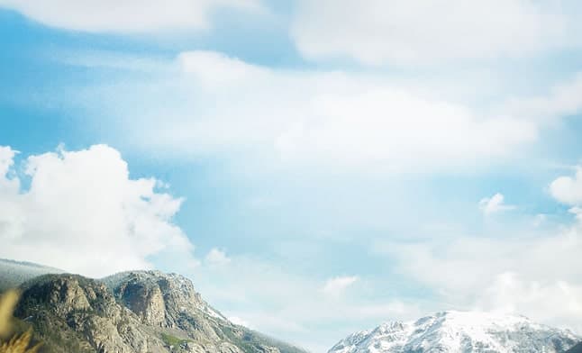 Placeholder for alt text